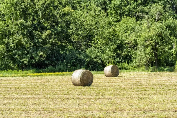 Συγκομισθείσα Μπάλα Άχυρου Στον Αγρό Κατά Την Καλοκαιρινή Περίοδο — Φωτογραφία Αρχείου