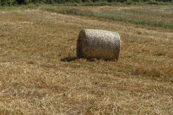 Harvested Hay Ball Field Summer Season — 스톡 사진