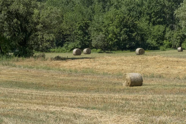 Harvested Hay Ball Field Summer Season — Stock Photo, Image