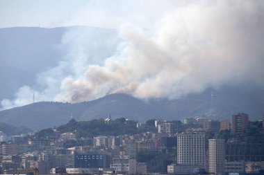 Temmuz 2022 Ceneviz Tepeleri, İtalya 'da büyük yangın