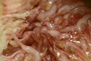 İçerideki incir meyvesini aç. Makro detayı kapat.