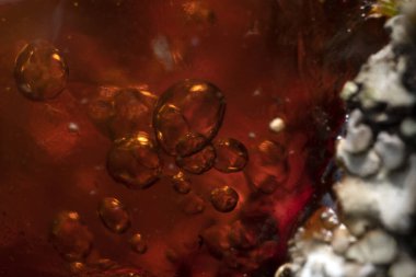 Doğal ağaç kehribar reçinesi makro yakın çekim