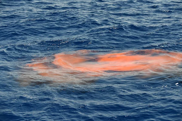 Whale Red Krill Poo Excrement Feces Blue Sea — стоковое фото