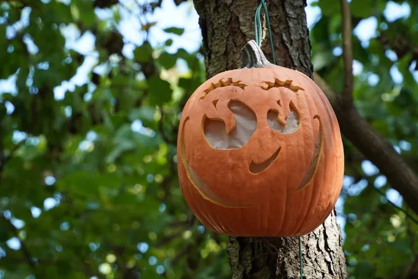 Handsnidade Halloween Pumpa Hängande Från Ett Träd — Stockfoto