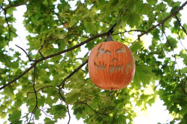 El oyması Cadılar Bayramı balkabağı ağaçtan sarkan