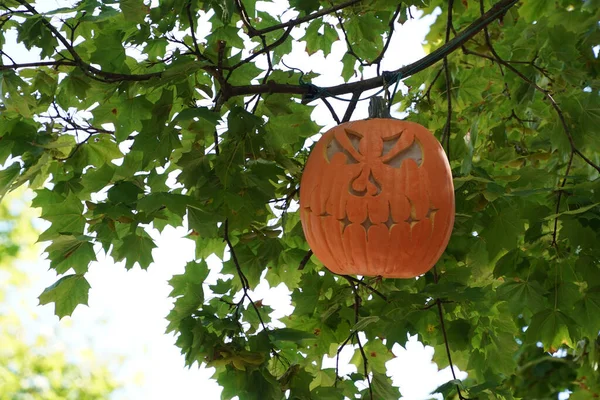 Handsnidade Halloween Pumpa Hängande Från Ett Träd — Stockfoto