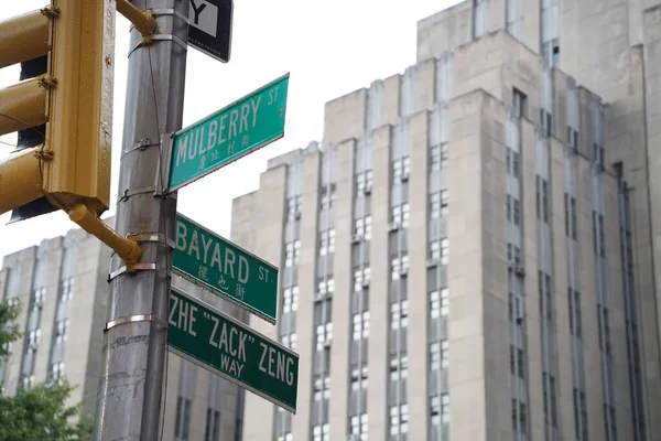 Баярдська Вулиця Зелений Знак Під Проливним Дощем Чинатауні Новий Йорк — стокове фото