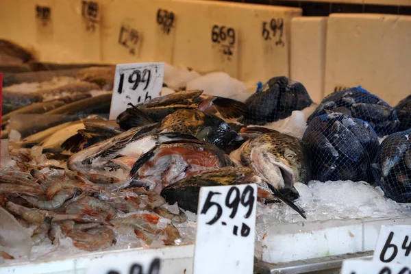 New York City Chinatown Fischmarkt — Stockfoto