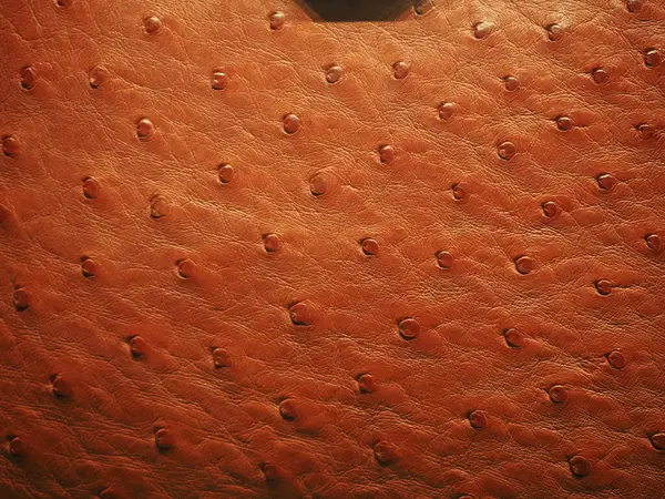 Δερμάτινη Τσάντα Λεπτομέρεια Ύφασμα Close Μακροεντολή — Φωτογραφία Αρχείου