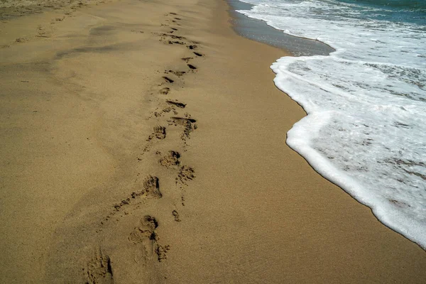 Caminar Océano Atlántico Isla Nantucket Playa Arena — Foto de Stock