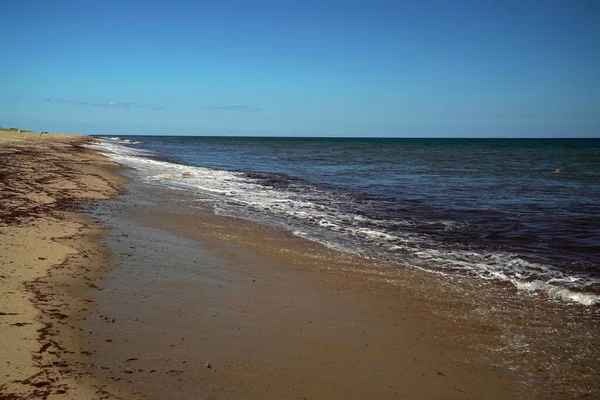 赤い藻場大西洋のナンタケットビーチ — ストック写真