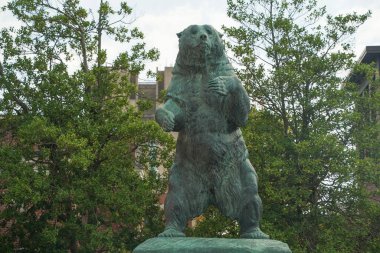 Brown Üniversitesi Prodence Rhode Island tarihi binaları kampüsünün ayı heykeli