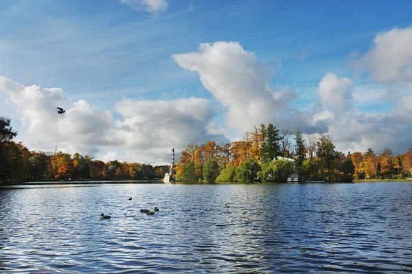 sonbahar tsarskoe Selo