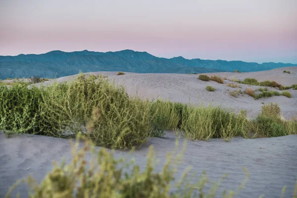 日落时的美丽风景 沙漠中央的沙丘 沙滩上的阴影 小植被的绿色 高山和宽阔的沙漠都是与众不同的 — 图库照片