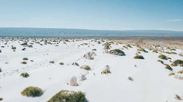 美丽的风景 在沙漠中央的石膏沙丘 在白色和绿色的沙滩上的小植被 山脉和广阔的沙漠是引人注目的 — 图库照片