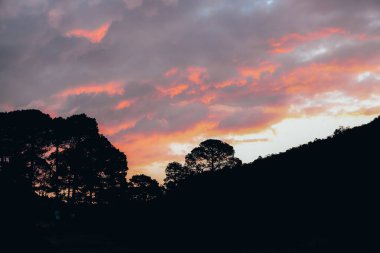 Nevado de Toluca yanardağı yakınlarındaki ormanda günbatımı manzarası, bulutlar kırmızımsı, mor ve turuncu renklerle boyanmıştır. Ağaçların akşam ışığına karşı gölgeleri inanılmazdır.