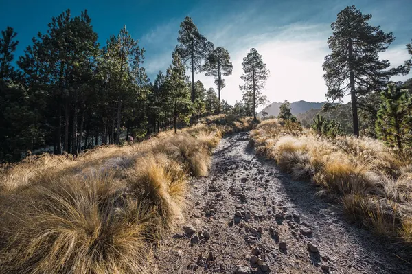 Winterlandschaft Nevado Toluca Mit Dem Vom Morgentau Gefrorenen Gras Und — Stockfoto