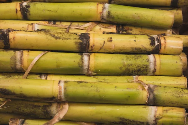 Şeker kamışı gruplar halinde, pazarda satışa hazır..