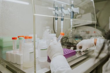 Bilimadamı çözümler hazırlıyor ve laboratuarında kimyasal reaksiyonların sonuçlarını analiz ediyor..