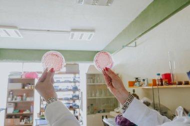 Bilimadamı laboratuvarında farklı virüs ve bakterileri hazırlıyor ve analiz ediyor..