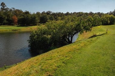 Golf sahasında kısa yeşil çimenler, tepeler, su tuzakları ve ağaçlar var..