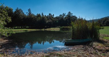 Golf sahasında kısa yeşil çimenler, tepeler, su tuzakları ve ağaçlar var..