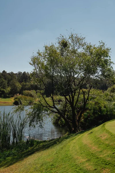 Golf course landscape with short green grass, some hills, water traps and trees.