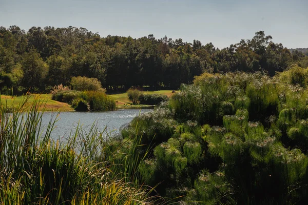 Golf course landscape with short green grass, some hills, water traps and trees.