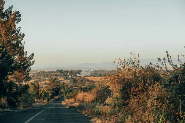 Ağaçlar ve bitkilerle kaplı dağ yolu, günbatımı ışığıyla aydınlatılmış, arka planda tipik bir Meksika kasabasını görebilirsiniz.