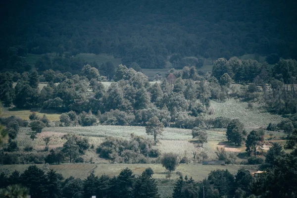 Landscapes Mountains Central Mexico You Can See Mountains Valleys Trees — 스톡 사진