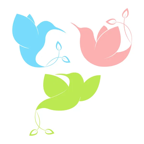 egzotik kuşlar uçuyor