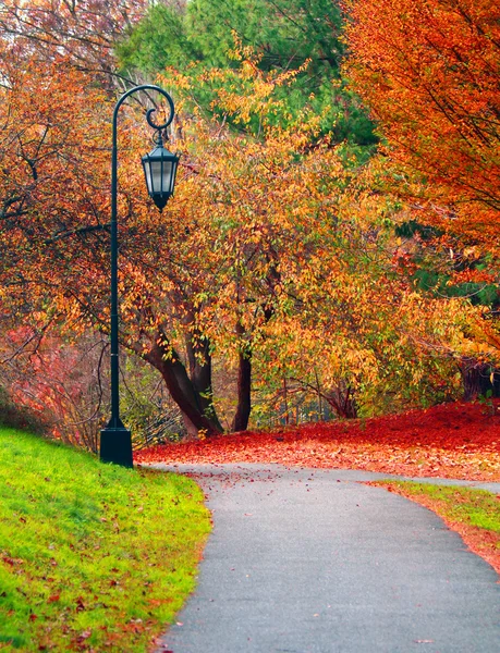Осенний пейзаж с уличным фонарем — стоковое фото