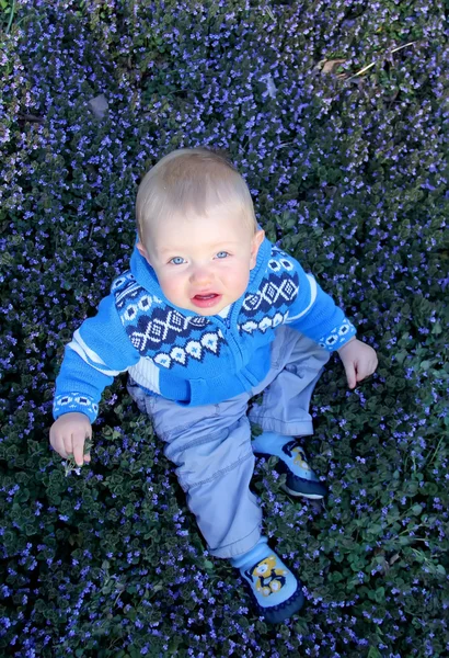 Boy sitting on flower prairie — Stock Photo, Image