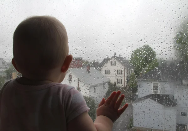 pencerenin önünde bekleyen toddler
