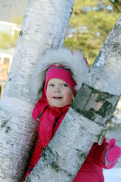 Girl looks out tree trunk — Stock Photo, Image