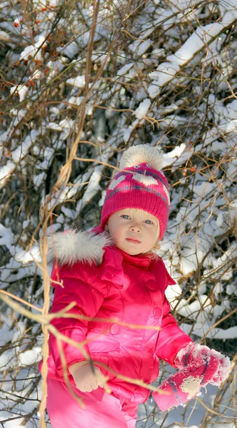 Menina bonita no parque de inverno — Fotografia de Stock