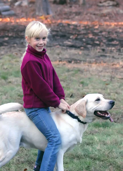 秋の公園で彼女の犬を持つ少女 — ストック写真