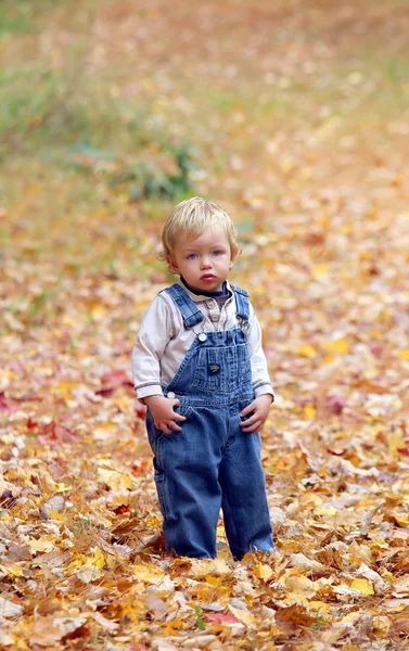 Грустный маленький мальчик играет в осеннем парке — стоковое фото