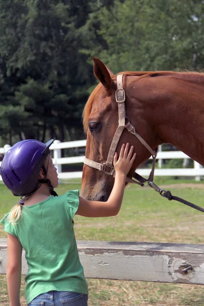 Bonita menina acariciando o cavalo — Fotografia de Stock