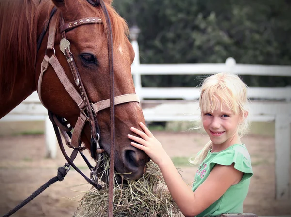 Linda niña acariciando el caballo — Foto de Stock