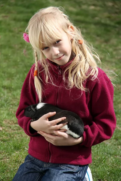 어린 소녀 밖에 기니 돼지와 함께 합니다. 스톡 이미지