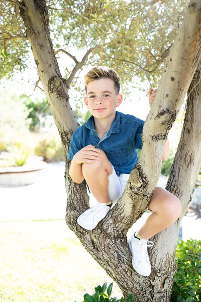 Boy Years Old Sitting Tree Child Stylish Haircut Posing Summer 图库图片