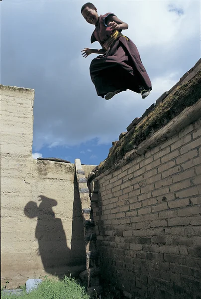 Tibet rahipleri