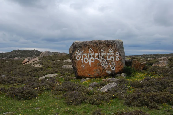 Tibet mani taş