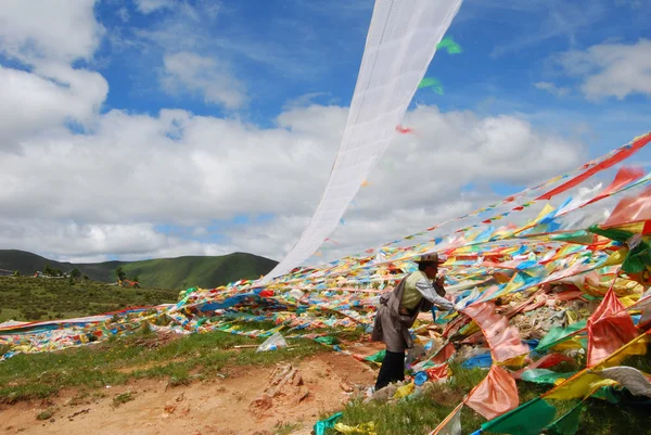 Praying flags in Tibet — Stock Photo, Image