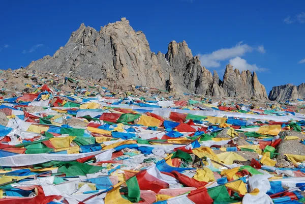 Drapeaux de prière au Tibet — Photo