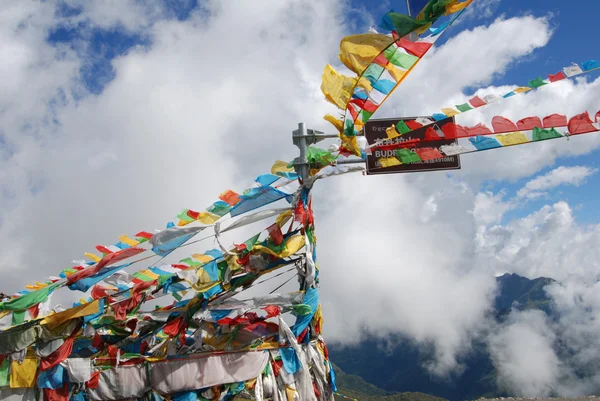 Bønneflagg i Tibet – stockfoto