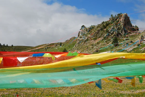 Bønneflagg i Tibet – stockfoto