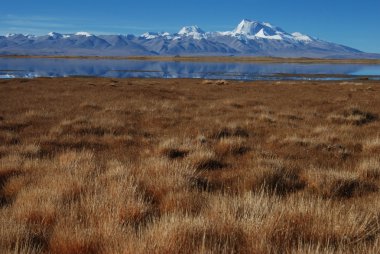 Tibet Manasarovar Gölü