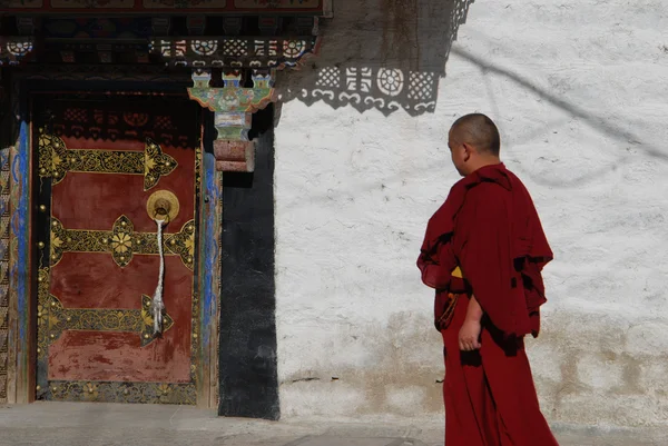 Este es Lhasa. — Foto de Stock